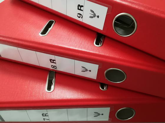 Rechtschreibkompetenz erwerben: Vertretungsstunden sind Deutschstunden